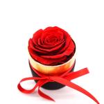 Forever Eternal Preserved Rose Gift Box For Celebration / Wedding