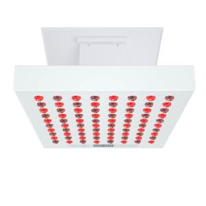 Wholesale Half Body Red Light Photon Therapy Devices For Hair Regrowth from china suppliers