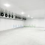 200 Sqm Leaf Vegetable/Fruit Cold Storage Refrigeration Equipment Commercial