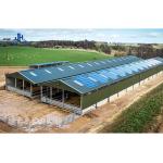 Single Steel Sheet Farm Steel House for Livestock Shelter in Agricultural Metal