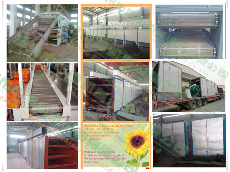 High Efficiency Mesh Belt Dryer