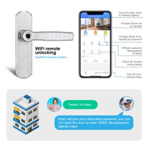 Wholesale Pin Key IP55 French Security Aluminum Door Smart WIFI Door Lock from china suppliers