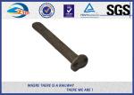 Customized Track Spikes Screw Track Spikes Railway Fasteners