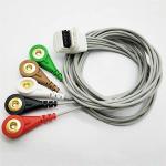 DMS 5 Lead Holter ECG Cable AHA CE/ISO13485 Available For ECGEKG Machine