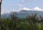Arch Type Po / PE Film Greenhouse Agricultural Multi Span Tunnel Good Stability