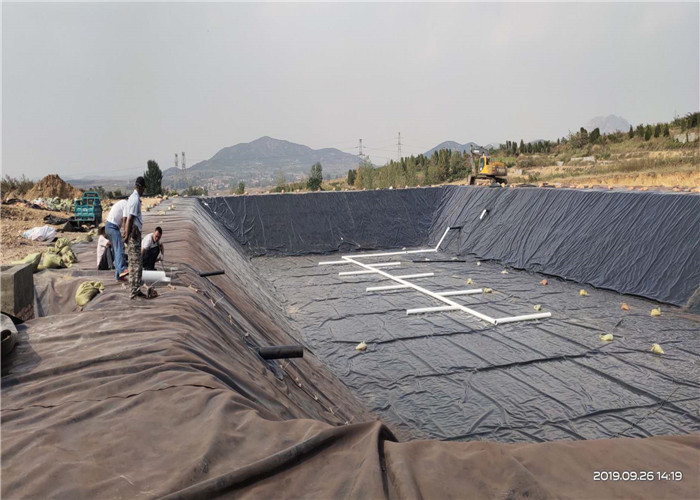Thickness 0.1-3.0mm Polyethylene Geomembrane Width 2m-7m Length 50-200m