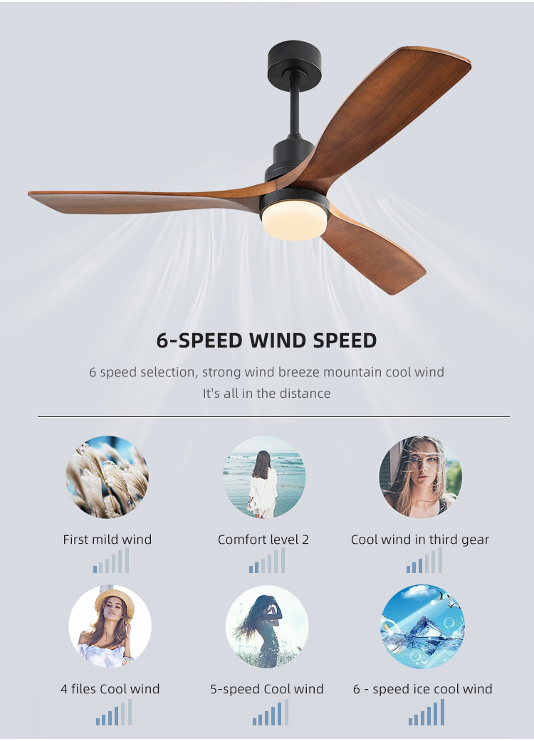 Dimmable AC/DC120V 65W Smart Ceiling Fan With Light And Remote 3 Speed