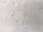 White Quartz Solid Stone Countertops For Kitchen 2.5 G / Cm3 Bulk Density