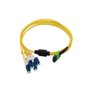 Wholesale MPO / MTP - LC Fiber Optic Trunk Patch Cord LSZH / PVC from china suppliers