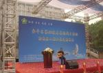 6000cd Brightness Stage Rental LED Display 1R1G1B Full Color Outdoor 5mm Pixel