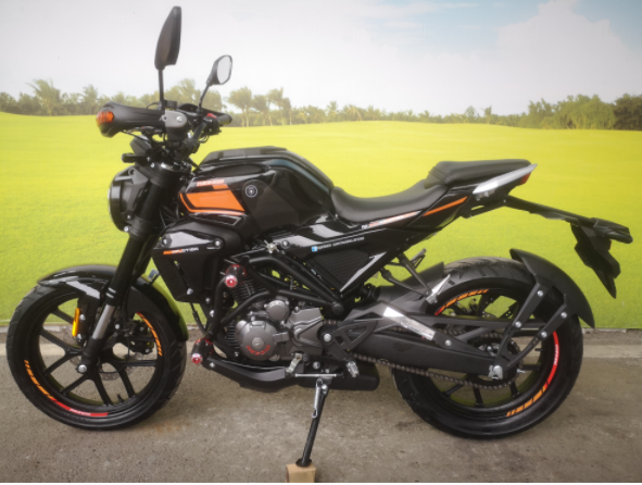 RE250 Engine Racing Dirt Bike Motorcycle 250cc Customizable Color