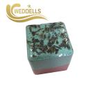 Fashion Fruit Scented Aromatherapy Shower Steamers With Dried Flower