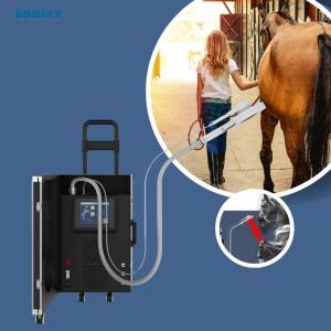 Wholesale Professional PEMF Vet Horse Treatment Machine Magnetotherapy Device for Pain Relief from china suppliers