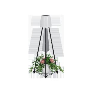 Wholesale Monocrystalline Silicon Solar Decorative Lights 30lm 5v/1.2w For Garden Decoration from china suppliers