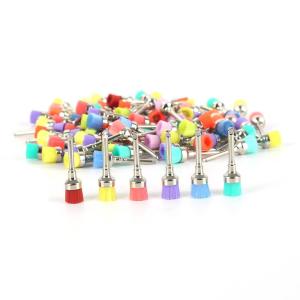 Wholesale Small Colorful Dental Polishing Handpiece Nylon Flat Polishing Prophy Brushes from china suppliers