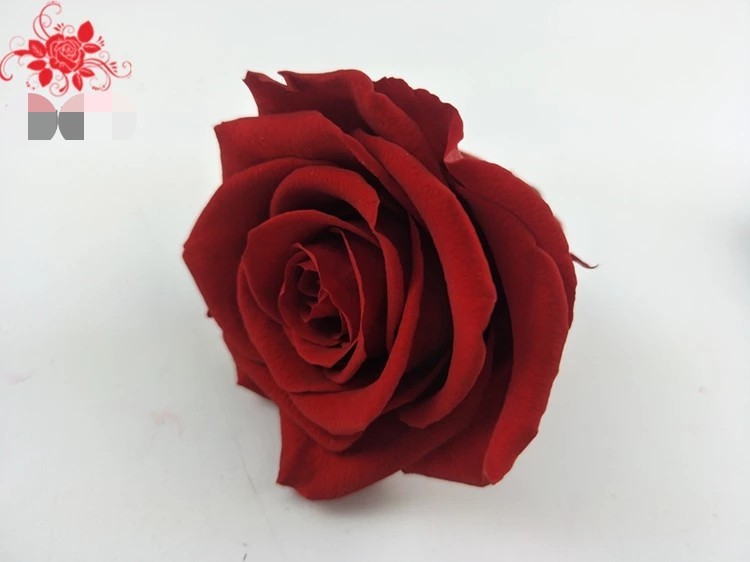 Wholesale Preserved Fresh Dried Flowers Dark Blue Roses for Arrangement
