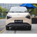 Low Consumption Pure Electric Car Joy 01 10.3kWh Per 100km Lang Range Electric