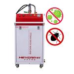 Multifunction Steam Vacuum Cleaner for Car Washing and Outdoor Living Customized