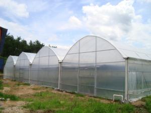 Wholesale Rainfall 140mm/H Large Green Houses , Dome Style Greenhouse Snow Load 0.45KN/㎡ from china suppliers