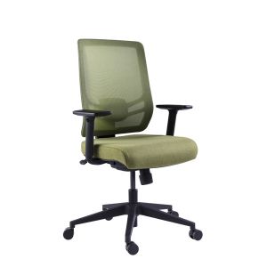 Green Mesh Optional Headrest Tilt Functional Ergonomic Executive Chair