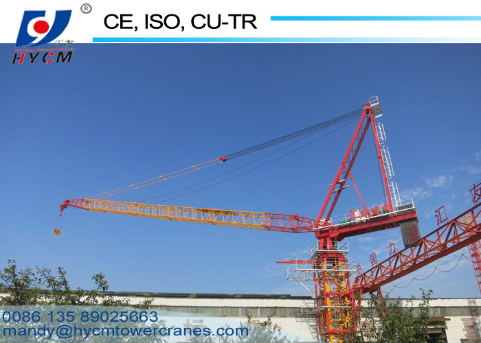 50m Jib 2500*2500*6000mm Split Mast Section Construction Tower Crane for Building