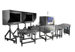 Wholesale IP66 TDI Camera X Ray Inspection System For Fish Bones from china suppliers