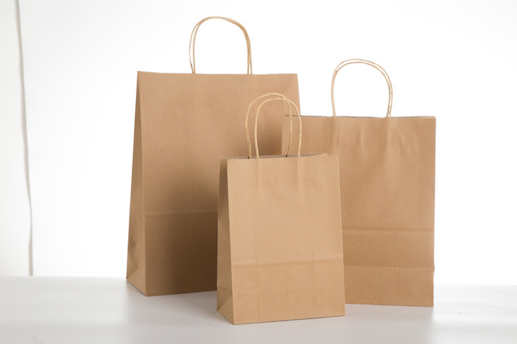 15 Colors Paper Gift Bags With Handles Bulk , Food Tote Bags 22X16X10 Cm