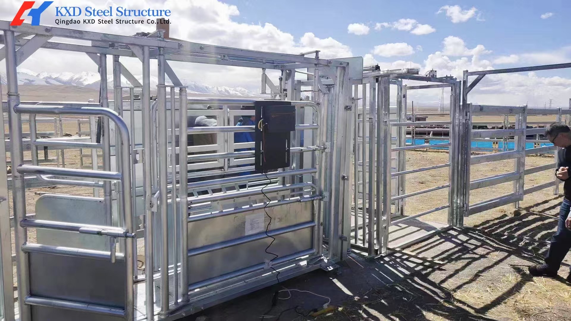 Anti Rust Galvanized Steel Cattle Yard Panels For Farm Fencing