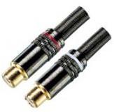 Wholesale plug and connectors from china suppliers