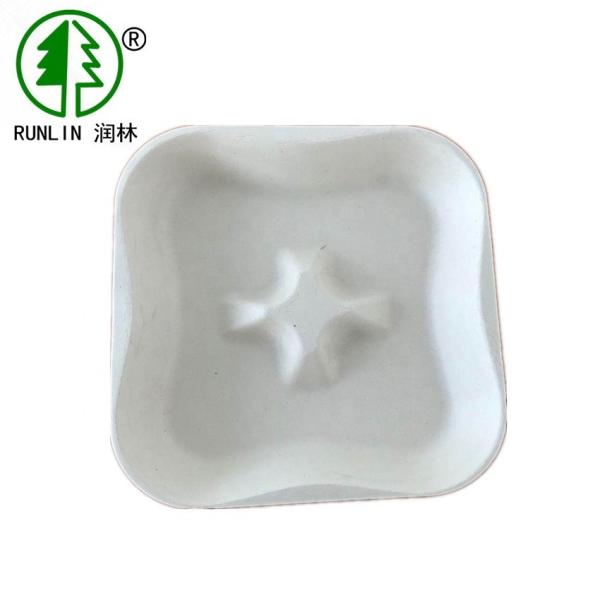 Bagasse Fiber Disposable Fruit Platter Trays 4 Split Biodegradable Trays For