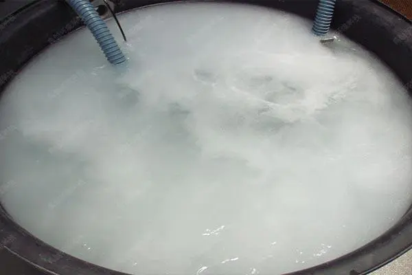 150 L/h Water Flow Rate Nano Bubble Generator for Industrial Water Treatment