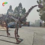 CE Jurassic Park Dinosaur Skeleton Replica Shunosaurus Skeleton weather