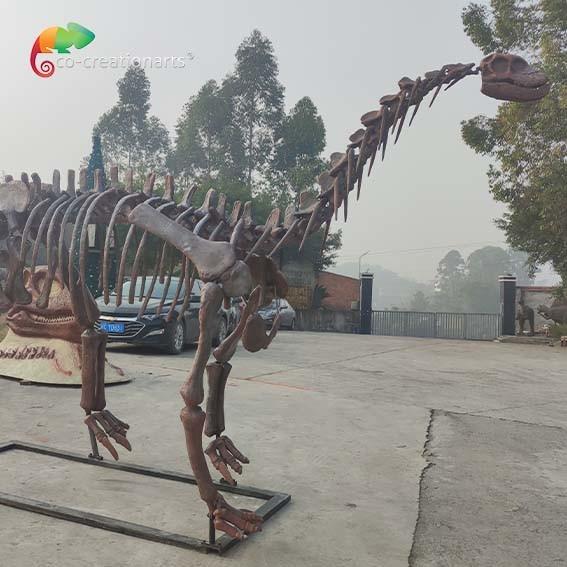 CE Jurassic Park Dinosaur Skeleton Replica Shunosaurus Skeleton weather