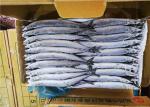 IQF Cololabis Saira Bulk 130g 140g 150g Sea Frozen Pacific Saury