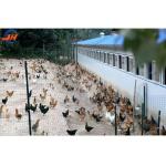 Steel Structural Fabrication Construction Chicken House For Goat Shelter Poultry