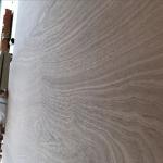 1220*2440mm Sapele Faced Plywood