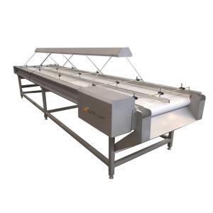 Wholesale 220v/ 380v Stainless Steel 304 Nut Selecting Conveyor Belt for Raisin Sorting Machine from china suppliers