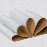 Good Price Smooth White Top Testliner 170gsm White Kraft Liner Board For