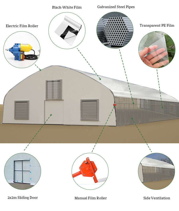 UV Resistant Polyethylene Film Light Controlled Greenhouse With Temperature Control