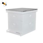Fir Wood Bee Inspection Colorful Langstroth Beehive