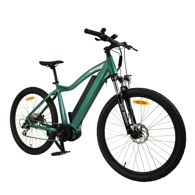 Customized Fat Tire E Bike for 2024 Max Speed 30-50Km/h Disc Brake 36V Lithium Battery