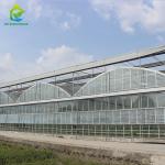 Heavy Duty Glass Hydroponic Nursery Greenhouse For Vegetables