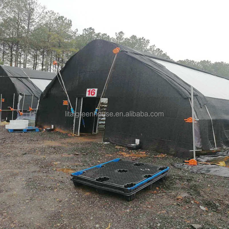 Large Height 3-10m Polytunnel Greenhouse The Ideal Growing Environment for Your Crops