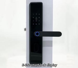 Wholesale ELA Door LocksLuxury Style Electric Safety Handle Digital Tuya Ttlock Intelligent Wifi Fingerprint Door from china suppliers