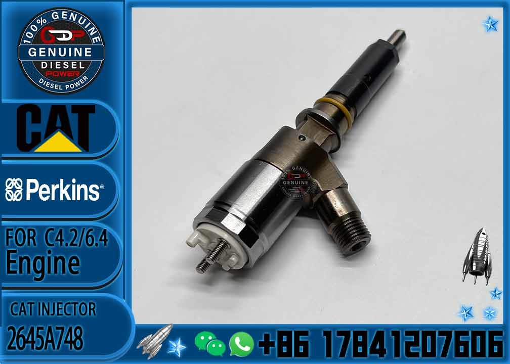 Common rail injector fuel injecto 10R-7675 2645A748 2645A743 320-0670 for C4.2 C6.4 Excavator