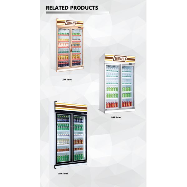 Commercial Upright Glass Door Front Refrigerated Display Freezer Case Glass 2 Door Mobile Display Showcase for Supermarket