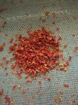 HACCP Air Dried Tomatoes / Organic Tomato Powder For Restaurant
