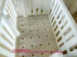 sustainable white chicken cage 680*490*160mm Virgin PP Transportation Chicken