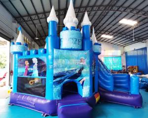 Wholesale SGS Inflatable Frozen Jumping Bouncy Castle For Gardens from china suppliers