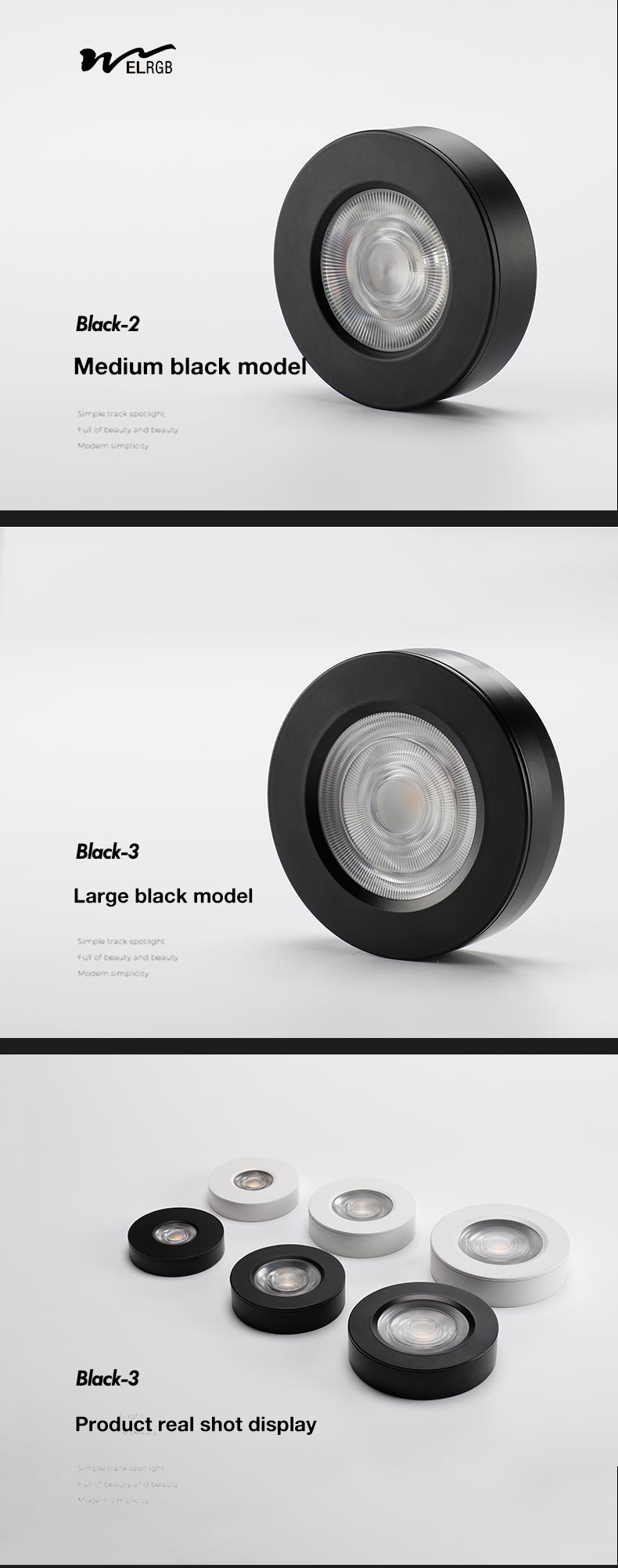 Home Office LED Spotlight with Smart Lights and Remote Control in Black Product Style